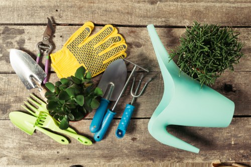 Professional garden clearance service in Hackbridge