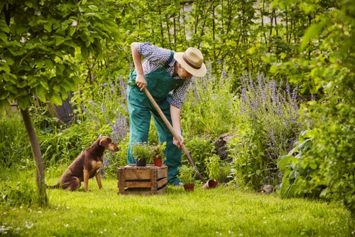 Landscaping and garden maintenance services