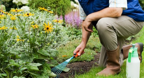 Team member assessing garden for hazards
