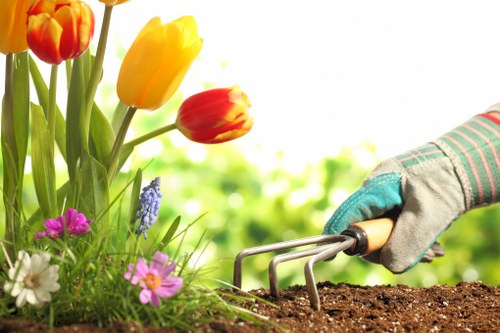 Lush garden showcasing Garden Maintenance Hackbridge's work