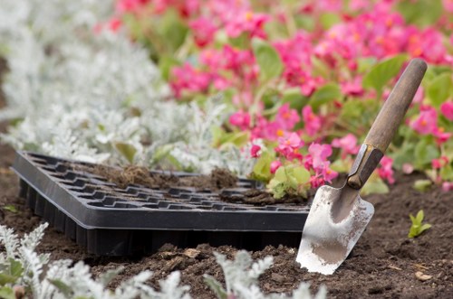 Expert team of Garden Maintenance Hackbridge at work