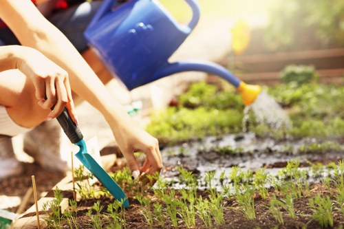 Lush lawn showcasing effective garden maintenance in Hackbridge