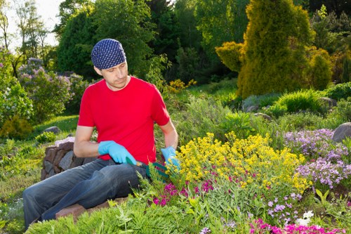 Healthy soil preparation for Hackbridge garden maintenance