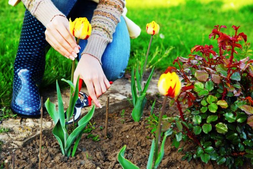 Gardener pruning shrubs in a Hackbridge garden